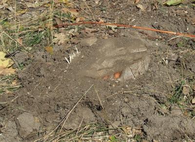 Прикрепленное изображение: 002.jpg